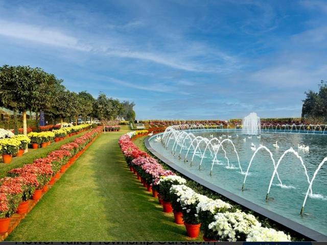 Residential Plot in Sector 33 for resale Sohna. The reference number is 20046140