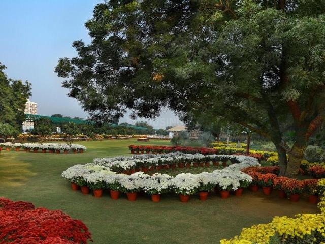 Residential Plot in Sector 33 for resale Sohna. The reference number is 19398332