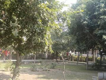 Sector-30 Noida, New Delhi, Delhi