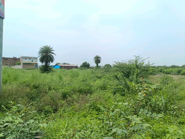 Residential Plot in Sector 30 Rohini for resale New Delhi. The reference number is 20480937