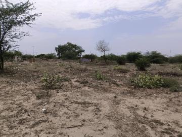 Residential Plot in Sector 30 Rohini for resale New Delhi. The reference number is 20481987