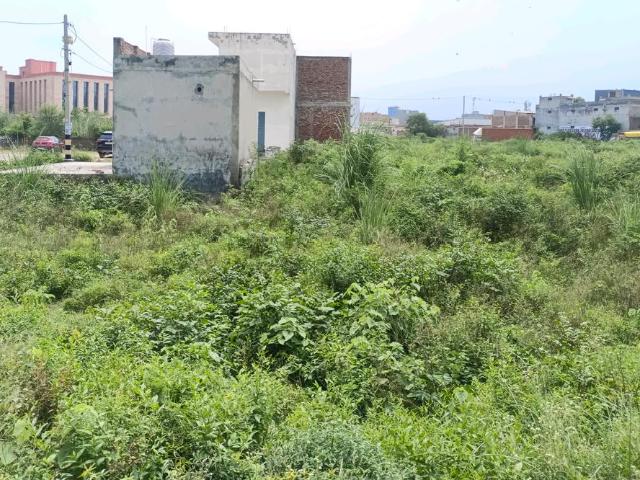 Residential Plot in Sector 30 Rohini for resale New Delhi. The reference number is 20483752