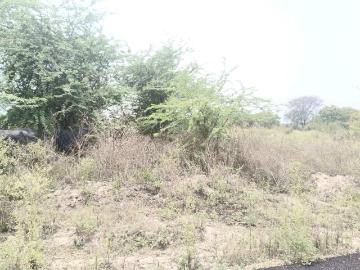 Residential Plot in Sector 30 Rohini for resale New Delhi. The reference number is 20391182