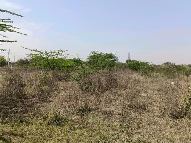 Residential Plot in Sector 34 Rohini for resale New Delhi. The reference number is 19591195
