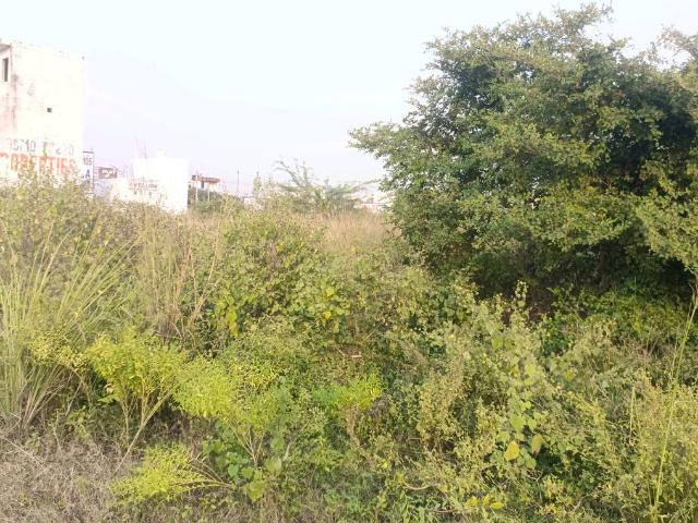 Residential Plot in Sector 34 Rohini for resale New Delhi. The reference number is 19661992