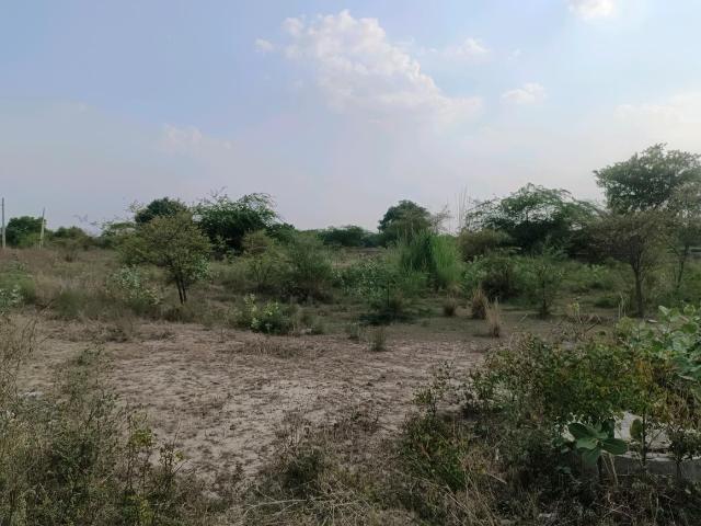 Residential Plot in Sector 34 Rohini for resale New Delhi. The reference number is 19936931