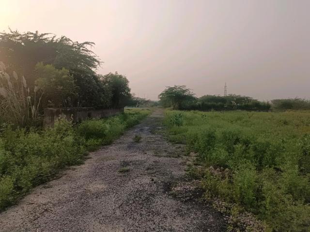 Residential Plot in Sector 34 Rohini for resale New Delhi. The reference number is 19312659