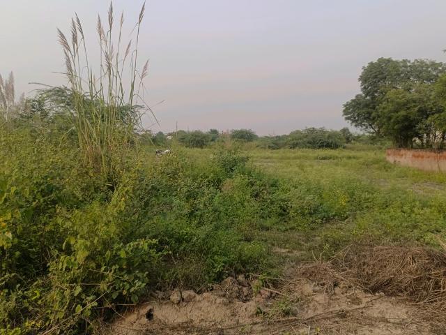 Residential Plot in Sector 34 Rohini for resale New Delhi. The reference number is 19312764
