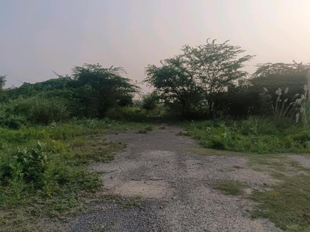 Residential Plot in Sector 34 Rohini for resale New Delhi. The reference number is 19317274