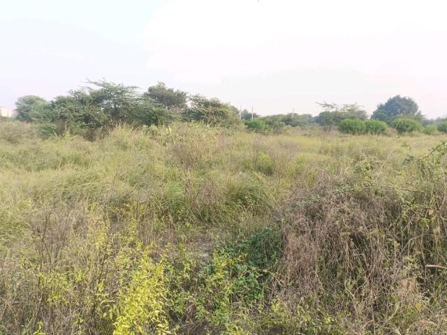 Residential Plot in Sector 34 Rohini for resale New Delhi. The reference number is 19368904