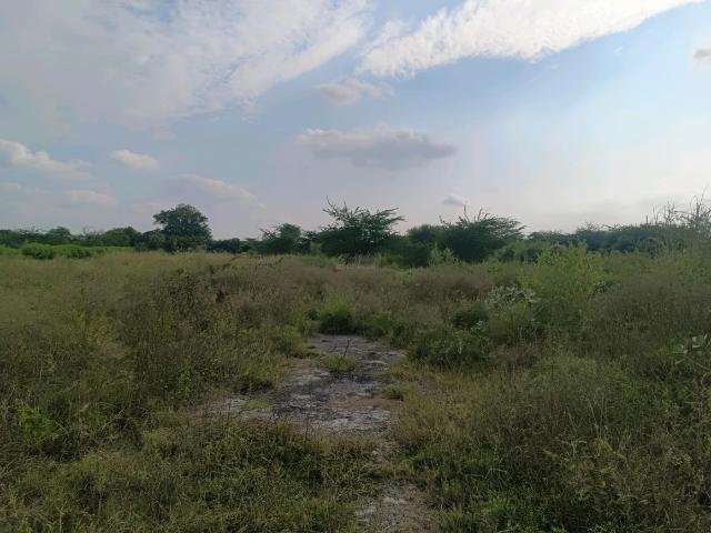 Residential Plot in Puth Khurd for resale New Delhi. The reference number is 19382168