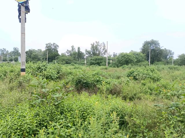 Residential Plot in Sector 36 Rohini for resale New Delhi. The reference number is 20481379
