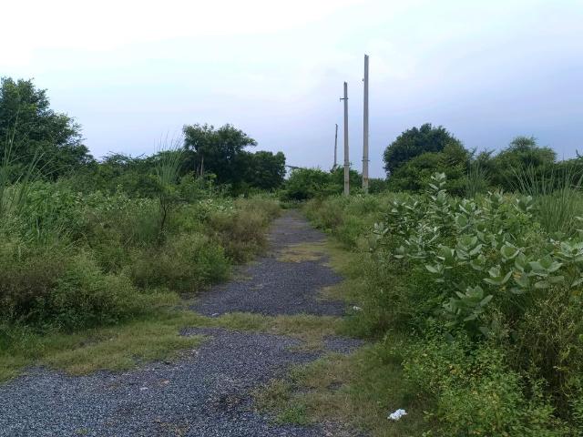 Residential Plot in Sector 34 Rohini for resale New Delhi. The reference number is 20484487