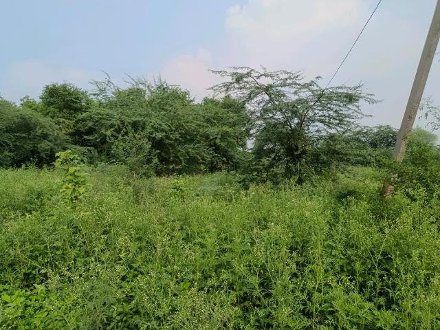 Residential Plot in Khera Khurd for resale New Delhi. The reference number is 20784092