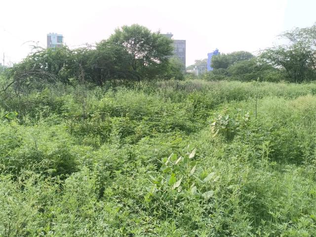 Residential Plot in Khera Khurd for resale New Delhi. The reference number is 20784139