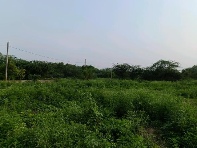 Residential Plot in Sector 34 Rohini for resale New Delhi. The reference number is 20784176