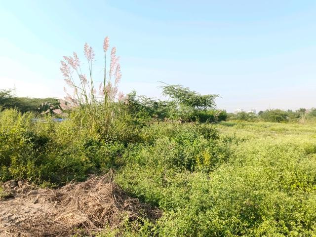 Residential Plot in Sector 34 Rohini for resale New Delhi. The reference number is 20784223