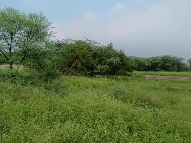 Residential Plot in Sector 34 Rohini for resale New Delhi. The reference number is 20803645