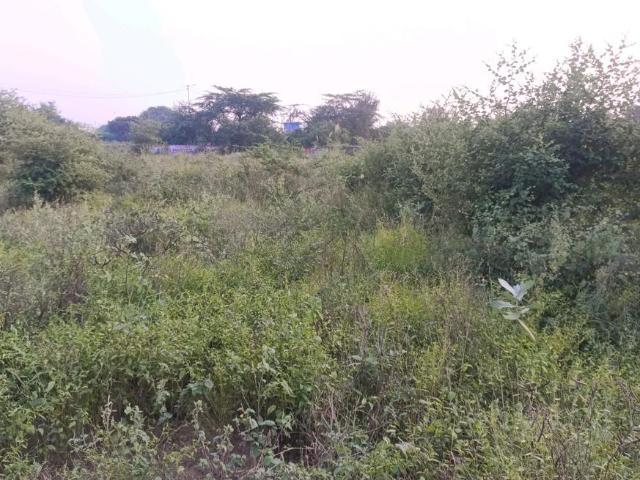 Residential Plot in Sector 34 Rohini for resale New Delhi. The reference number is 20803645