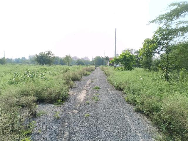 Residential Plot in Sector 34 Rohini for resale New Delhi. The reference number is 20803662