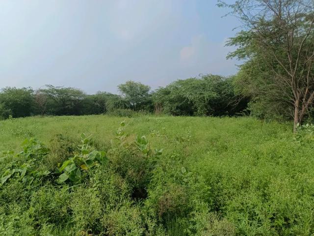 Residential Plot in Sector 34 Rohini for resale New Delhi. The reference number is 20803682