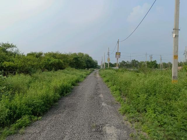 Residential Plot in Sector 34 Rohini for resale New Delhi. The reference number is 20803698