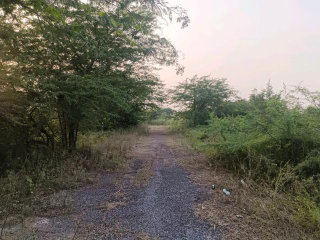 Residential Plot in Sector 34 Rohini for resale New Delhi. The reference number is 20803698