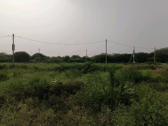 Residential Plot in Sector 34 Rohini for resale New Delhi. The reference number is 20803732