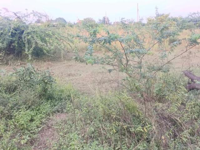 Residential Plot in Sector 34 Rohini for resale New Delhi. The reference number is 20803732