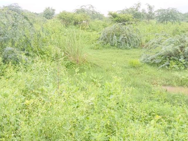 Residential Plot in Puth Khurd for resale New Delhi. The reference number is 20820467