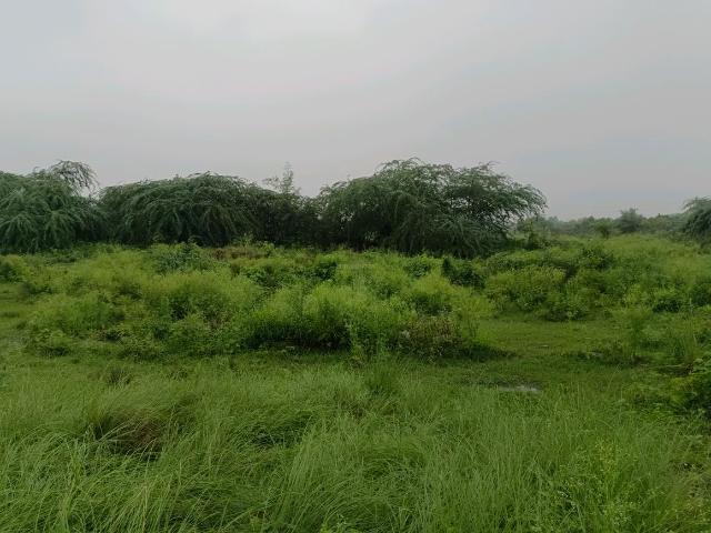Residential Plot in Puth Khurd for resale New Delhi. The reference number is 20820201