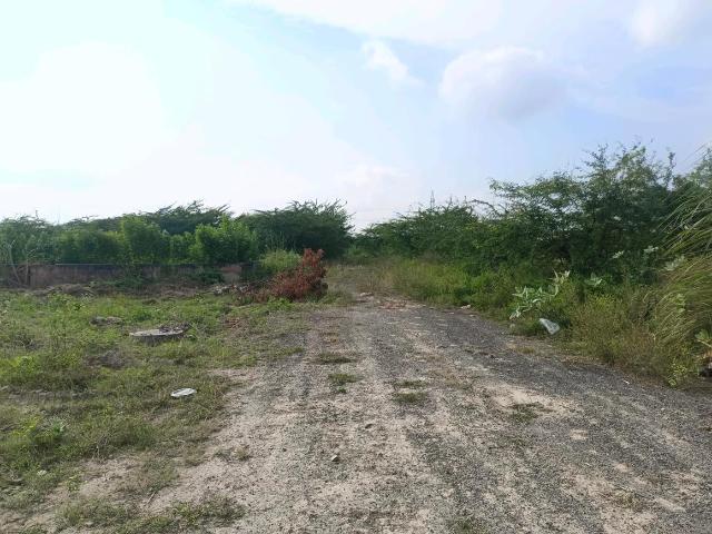 Residential Plot in Sector 34 Rohini for resale New Delhi. The reference number is 20128846