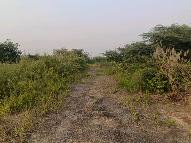 Residential Plot in Sector 34 Rohini for resale New Delhi. The reference number is 20129045