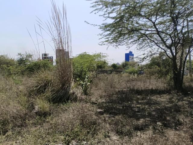 Residential Plot in Sector 34 Rohini for resale New Delhi. The reference number is 20263625