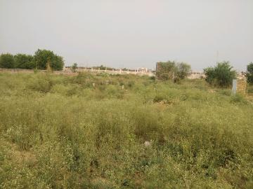 Residential Plot in Sector 34 Rohini for resale New Delhi. The reference number is 8903140