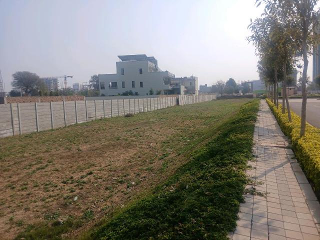 Residential Plot in Sector 35 for resale Sohna. The reference number is 17852653
