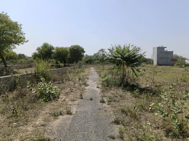 Residential Plot in Sector 35 Rohini for resale New Delhi. The reference number is 20263792