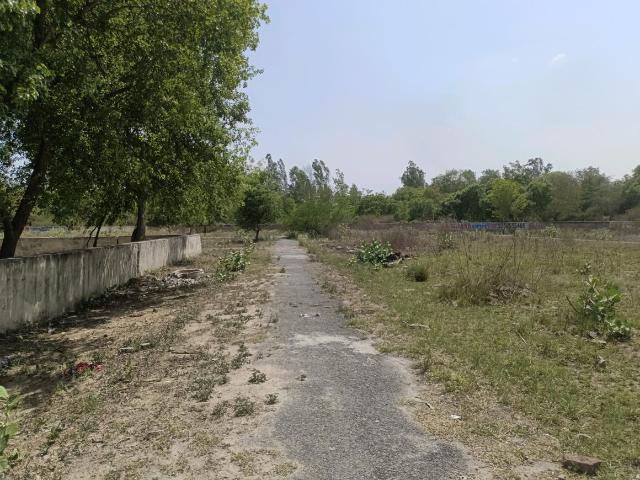 Residential Plot in Sector 35 Rohini for resale New Delhi. The reference number is 20263816