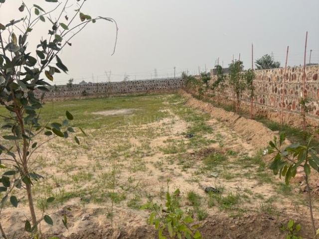 Residential Plot in Sector 36 for resale Sohna. The reference number is 21266713