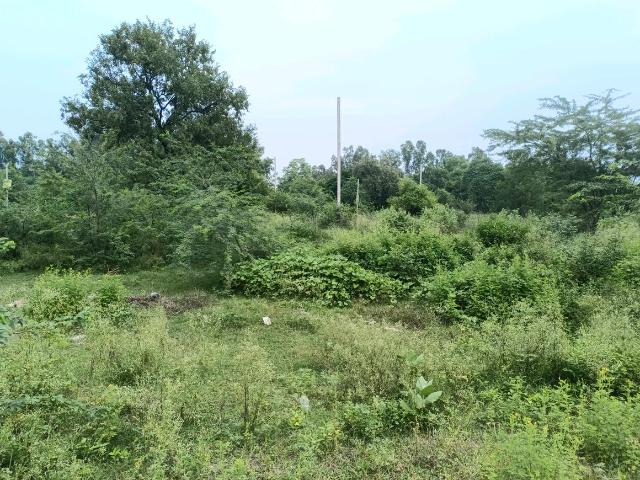 Residential Plot in Sector 36 Rohini for resale New Delhi. The reference number is 20481524
