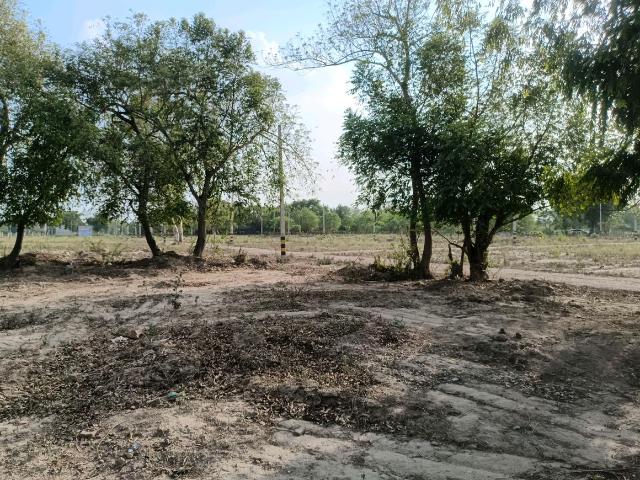 Residential Plot in Sector 36 Rohini for resale New Delhi. The reference number is 20485384