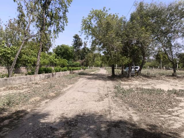 Residential Plot in Sector 36 Rohini for resale New Delhi. The reference number is 20264254