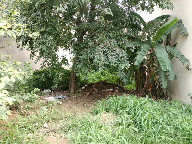 Residential Plot in Sector 3 Dwarka for resale New Delhi. The reference number is 20760863