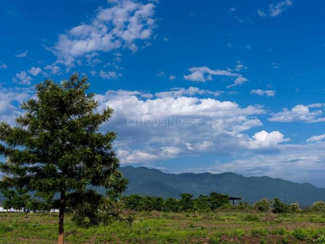 Residential Plot in Sector 3 for resale Panchkula. The reference number is 17801541
