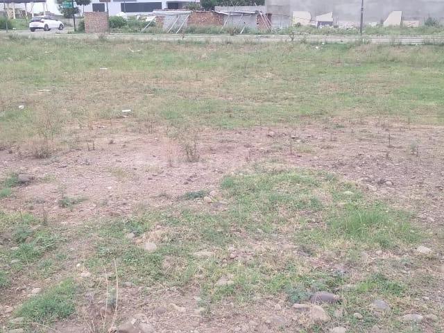 Residential Plot in Sector 3 for resale Panchkula. The reference number is 20168519