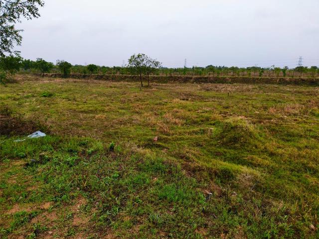 Residential Plot in Shamirpet for resale Hyderabad. The reference number is 20709086