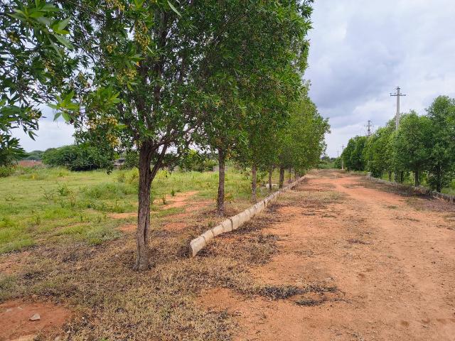 Residential Plot in Shamshabad for resale Hyderabad. The reference number is 5225324