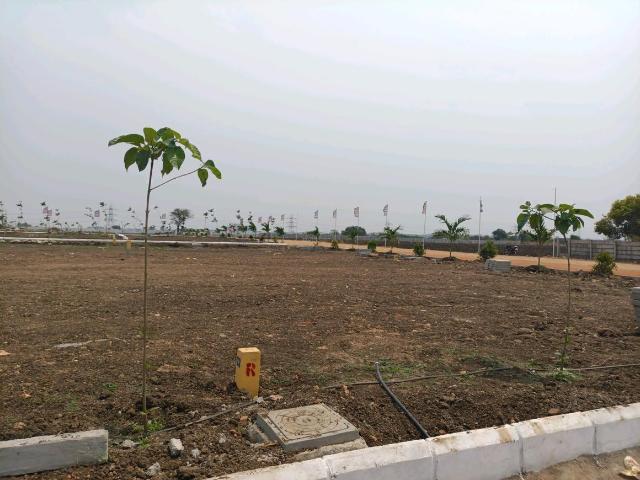 Residential Plot in Shadnagar for resale Ranga Reddy. The reference number is 19711991
