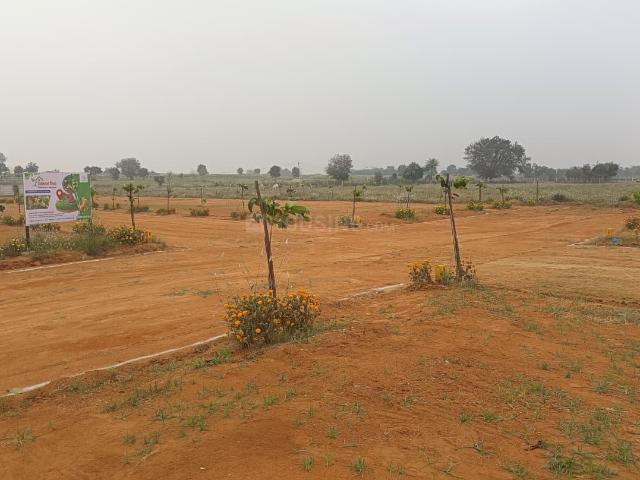 Residential Plot in Shadnagar for resale Ranga Reddy. The reference number is 20085502