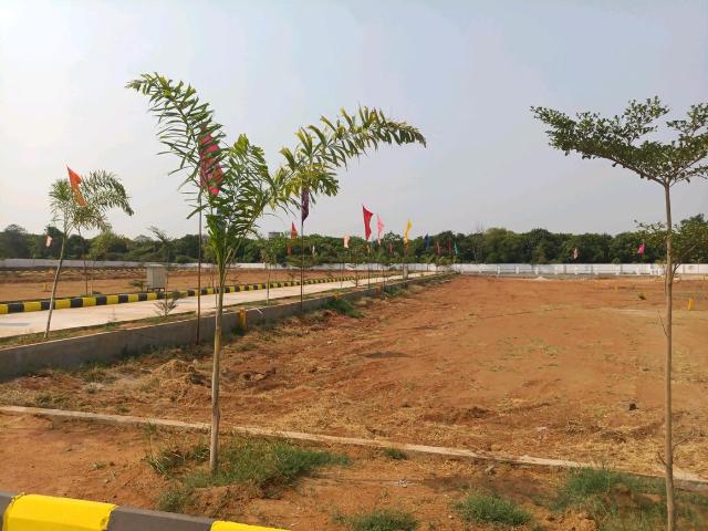 Residential Plot in Shadnagar for resale Ranga Reddy. The reference number is 20233698